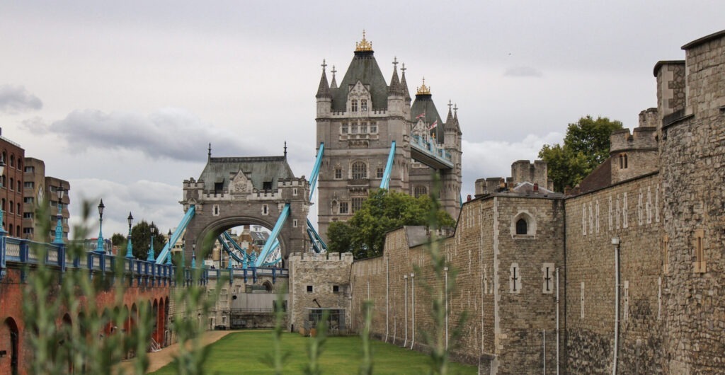 IMG 0505 scaled e1724163670296